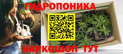 ПСИЛОЦИБИНОВЫЕ ГРИБЫ Краснодар