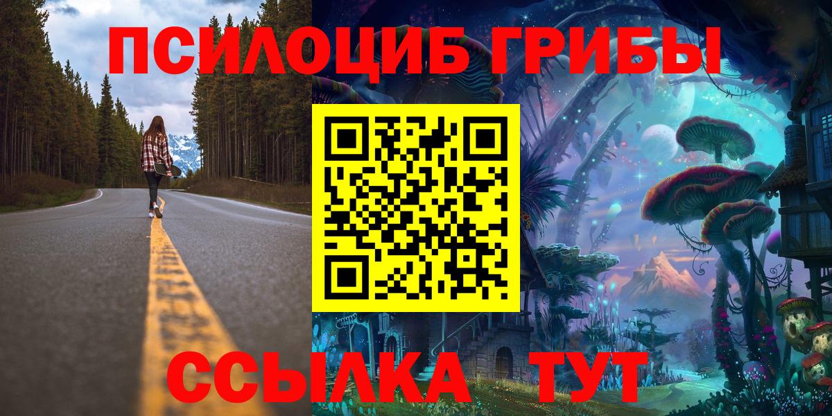 Псилоцибиновые грибы Psilocybe Лесной