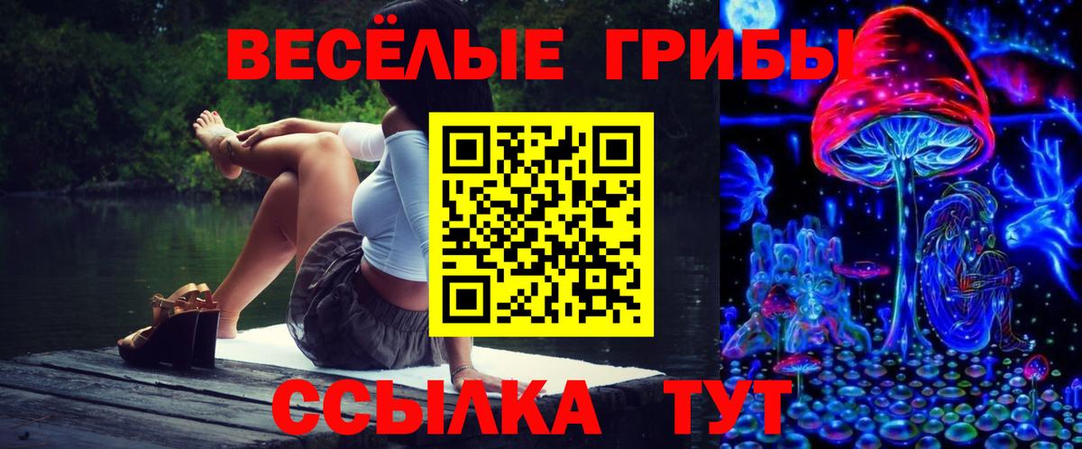 Галлюциногенные грибы ЛСД  где можно купить   Лесной  Вход с VPN 